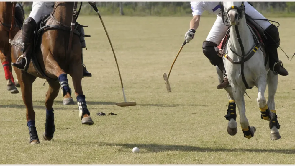 POLO