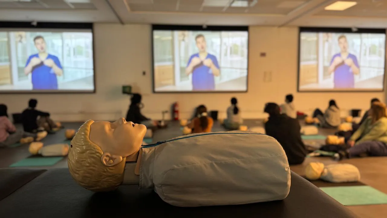 WhatsApp Image 2025-08-30 at 11.05.45 AM