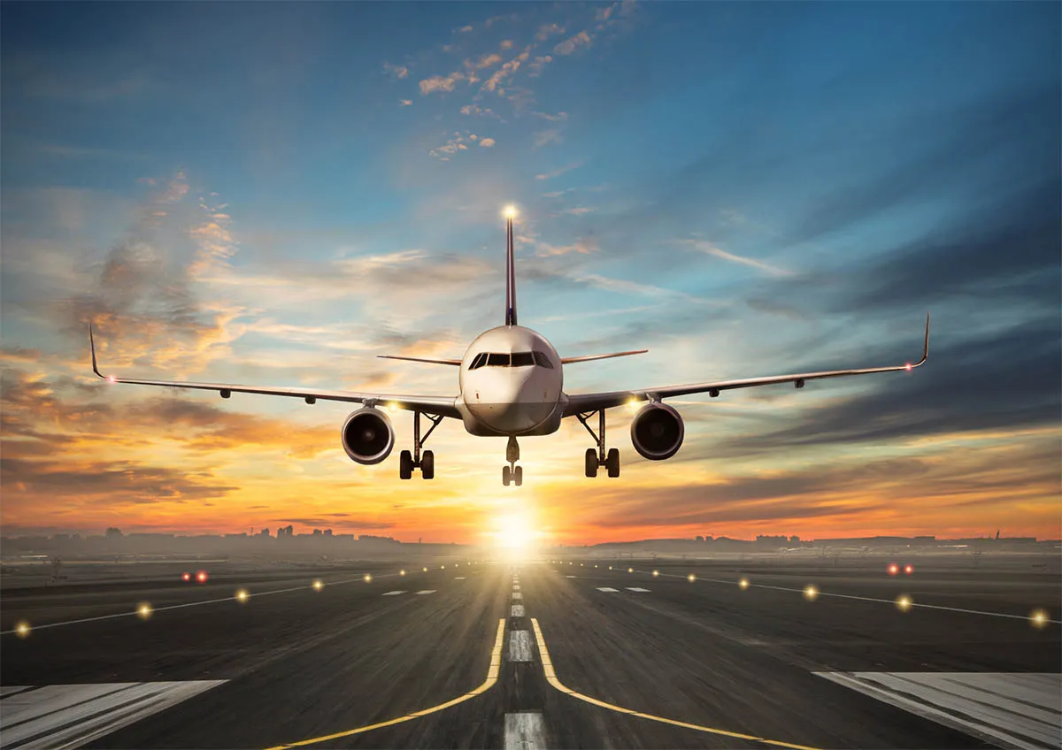 habilidades_articulo_267