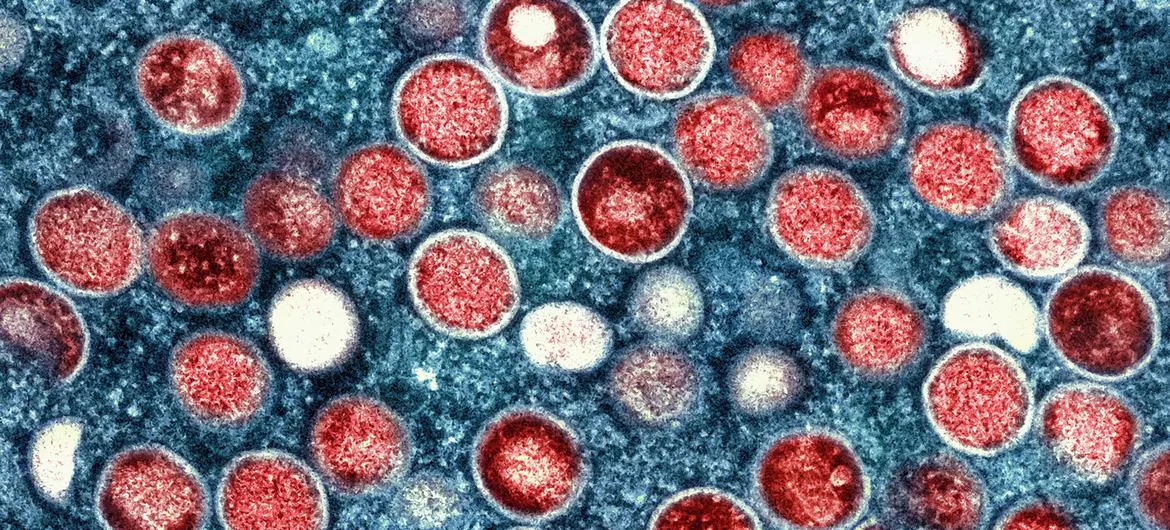 image1170x530cropped