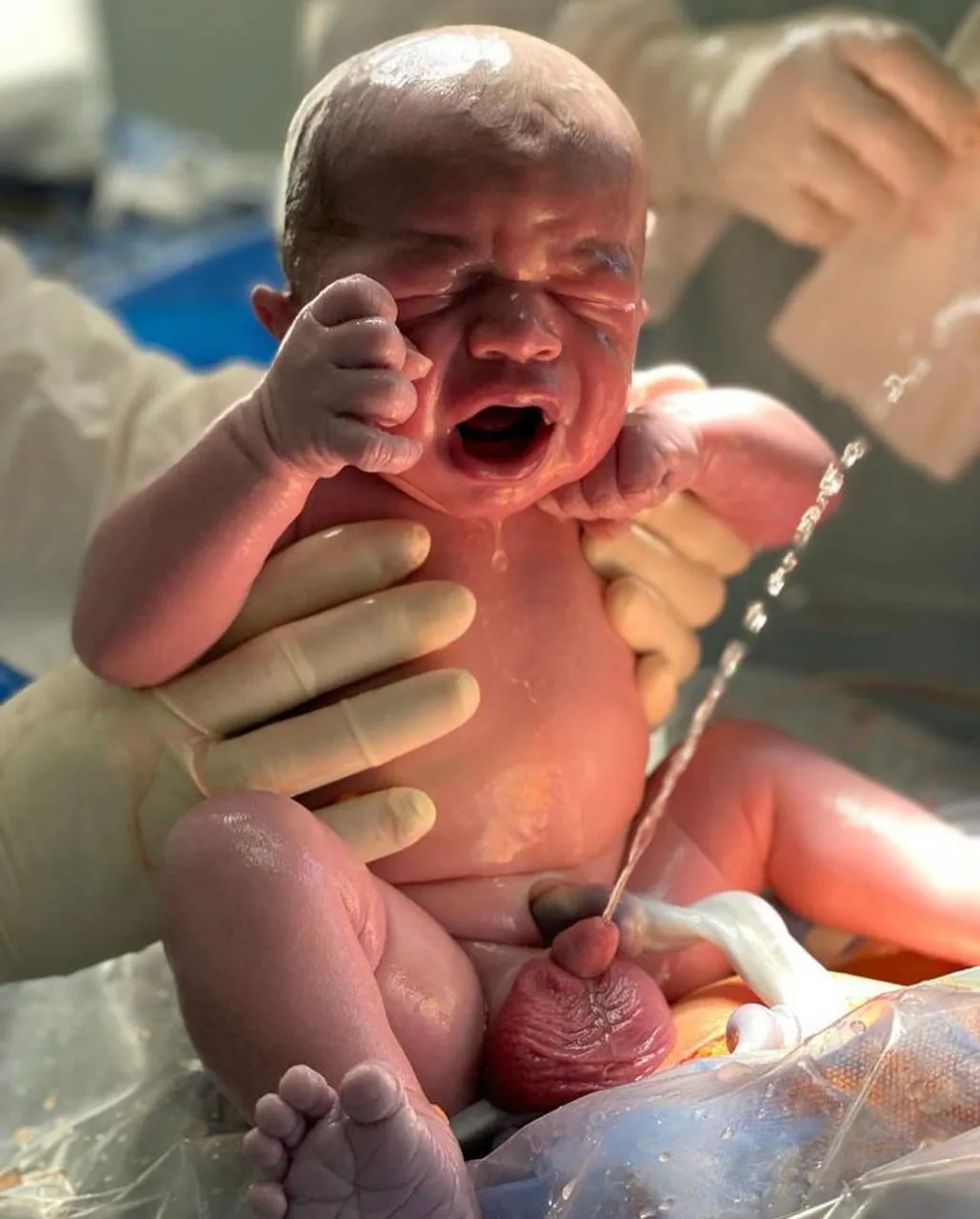 IMG_5848 - walter orencel