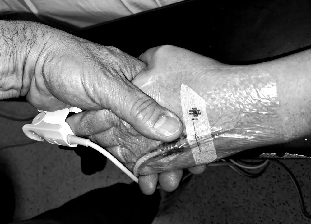 VIDA - Martin Valls (1)